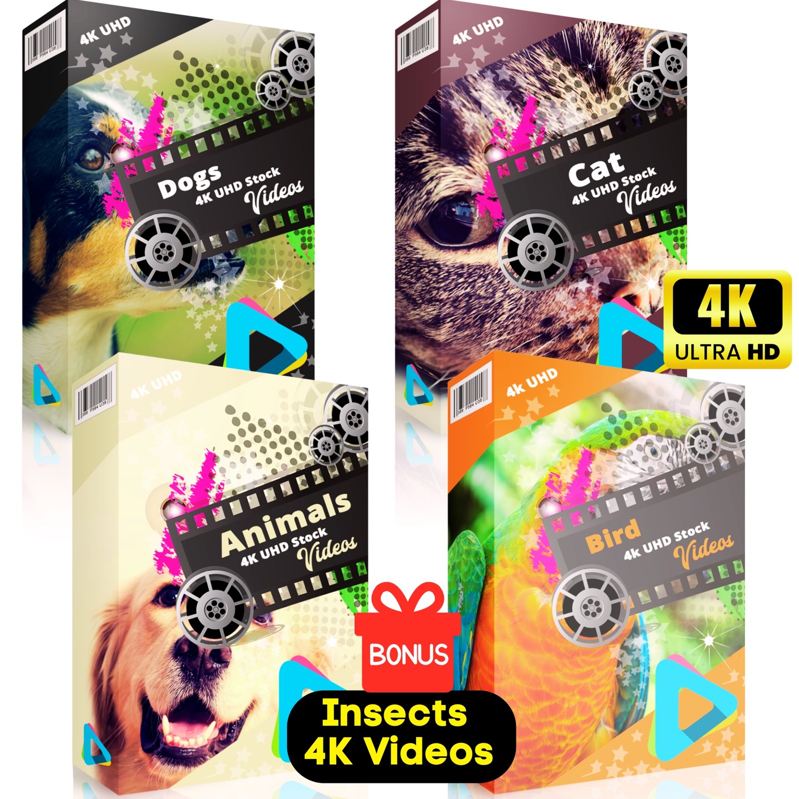 Dog, Cat, Animals, Birds 4K UHD Stock Videos
